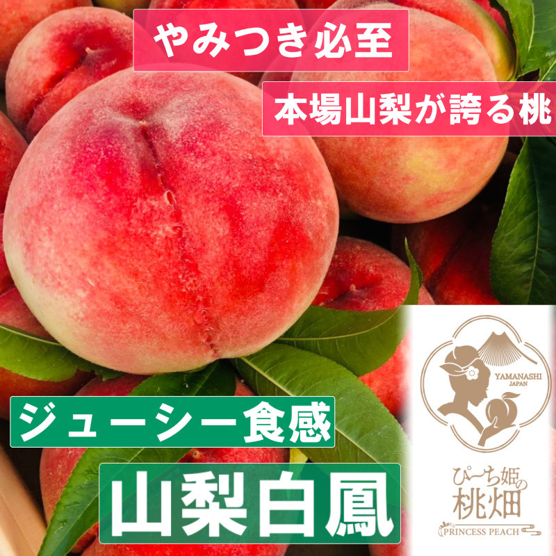 
                  【ジューシー触感誇る山梨白鳳ブランド】選んで間違いない果汁溢れる人気品種約2kg【2026年発送】（PMK）D4-106【山梨白鳳 桃 もも モモ 令和8年発送 山梨県産 甲州市 フルーツ 果物】
                