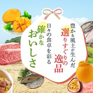 【A01010】鹿児島県産黒毛和牛サーロインステーキ〈約200g×2枚〉_イメージ2