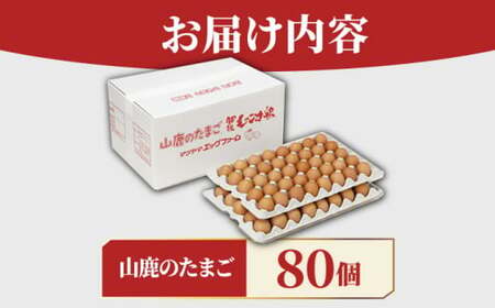 たまご 80個 約5kg【マツヤマエッグファーム】タマゴ 玉子 熊本県 卵 国産 新鮮 山鹿 [ZAW002]