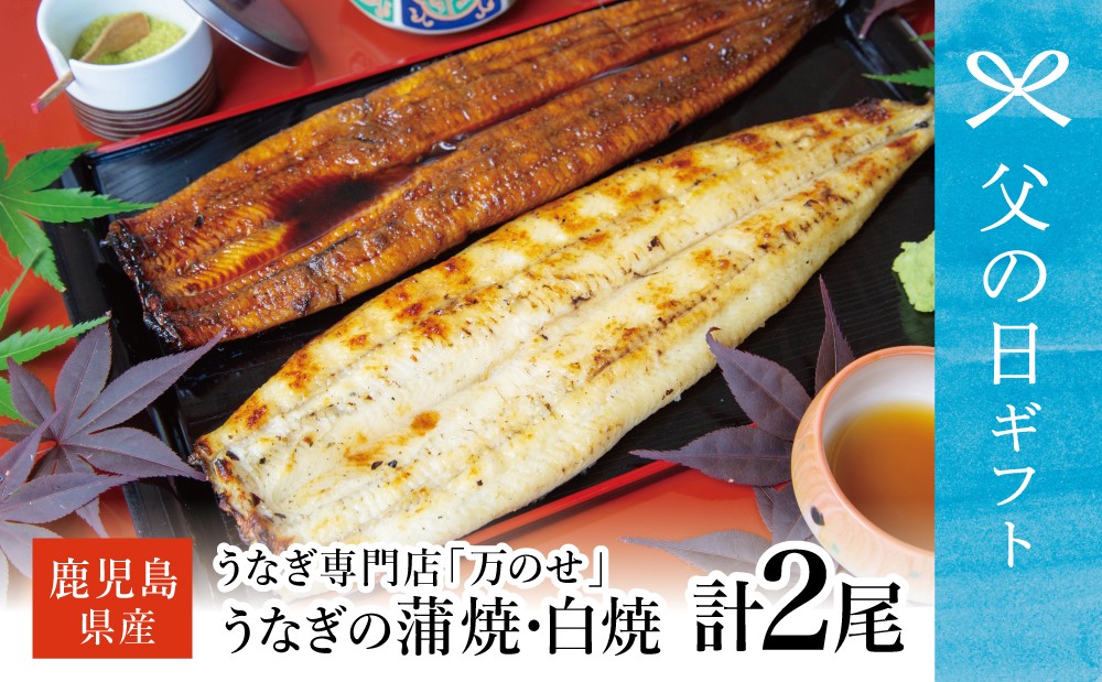 
                  【父の日ギフト】鹿児島県産鰻 うなぎ専門店「万のせ」うなぎ蒲焼・白焼きセット 各1尾 (約160g)  計2尾 ジューシー スタミナ ウナギ 鰻 蒲焼き 鹿児島県産 うな重 たれ だし 出汁付き ひつまぶし 山椒 わさび 土用の丑 丑の日 冷凍 簡単調理 南さつま市 贈り物 ギフト 贈答用
                