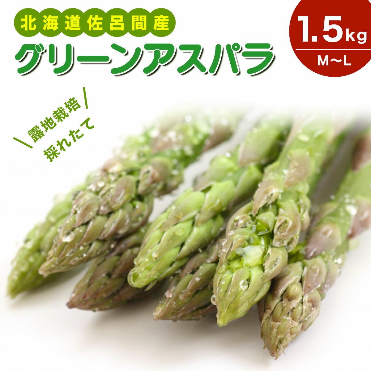 【ふるさと納税】露地栽培 グリーンアスパラ 1.5kg （M～L） 北海道 佐呂間産 （2026年5月出荷開始先行予約） 【 ふるさと納税 人気 おすすめ ランキング 野菜 アスパラ アスパラガス グリーンアスパラ グリーン とれたて 新鮮 北海道 佐呂間町 送料無料 】 SRMM018