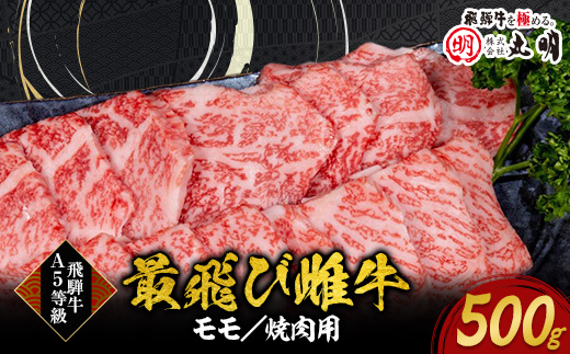 【最飛び雌牛】飛騨牛A5等級モモ焼き肉用　500g【配送不可地域：離島】