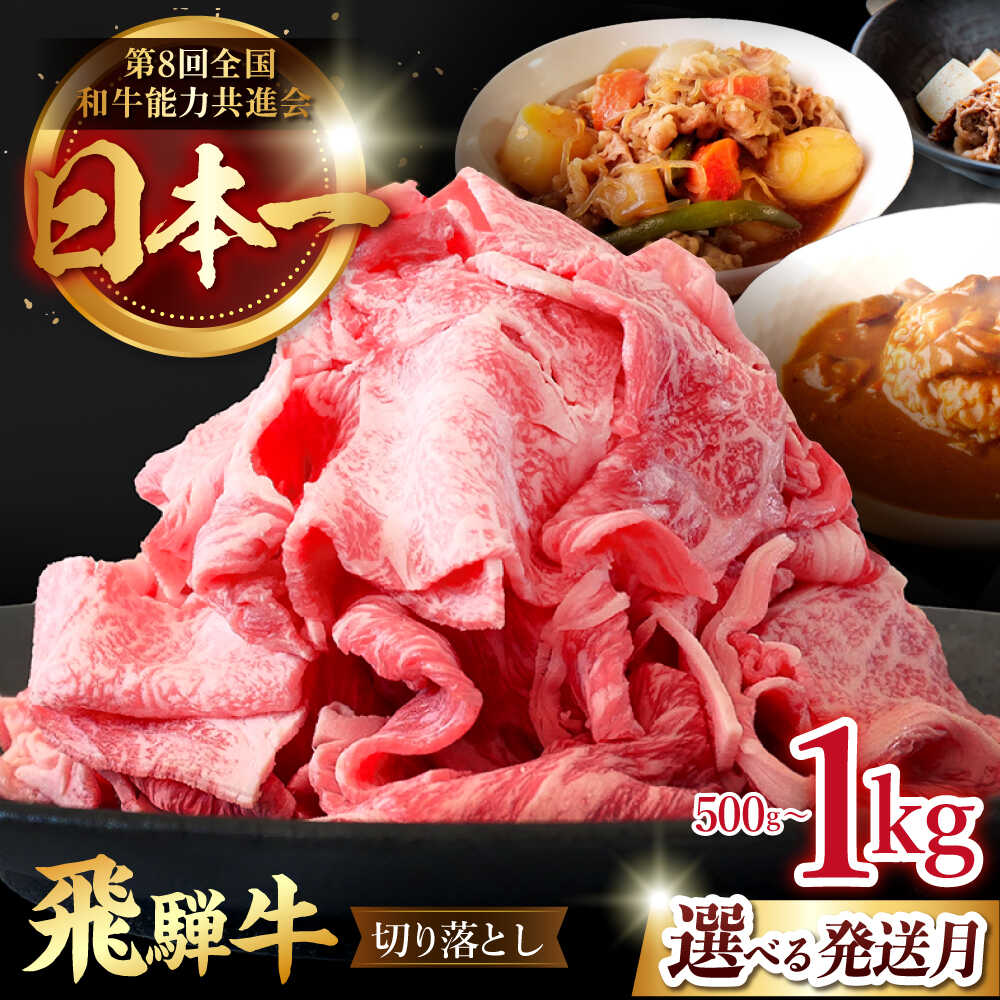 【ふるさと納税】【選べる発送月・容量】飛騨牛 切り落とし 牛肉 和牛 国産 ブランド牛 国産牛 岐阜県 多治見市 / 肉のひぐち [TDC009]