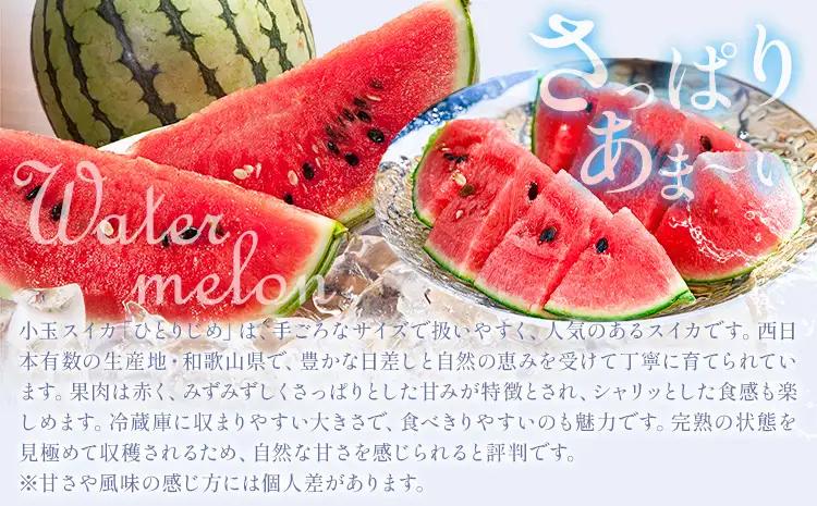 旬の フルーツ セット 3ヶ月定期便 6月・7月・8月配送 すいか 1玉 桃 約1.8kg 梨 約2kg 