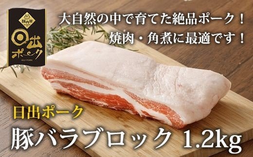 
            ＜日出ポーク＞豚バラブロック(1.2kg)【1078238】
          