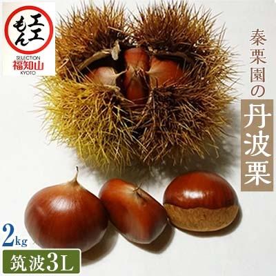 ふるさと納税 福知山市 秦栗園の丹波栗 筑波3L 2kg 生栗 大粒 10月上旬発送