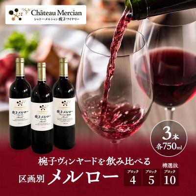 ふるさと納税 上田市 限定 年ヴィンテージの限定品区画別メルロー 3本セット メルロー 750ml 赤[54040431]
