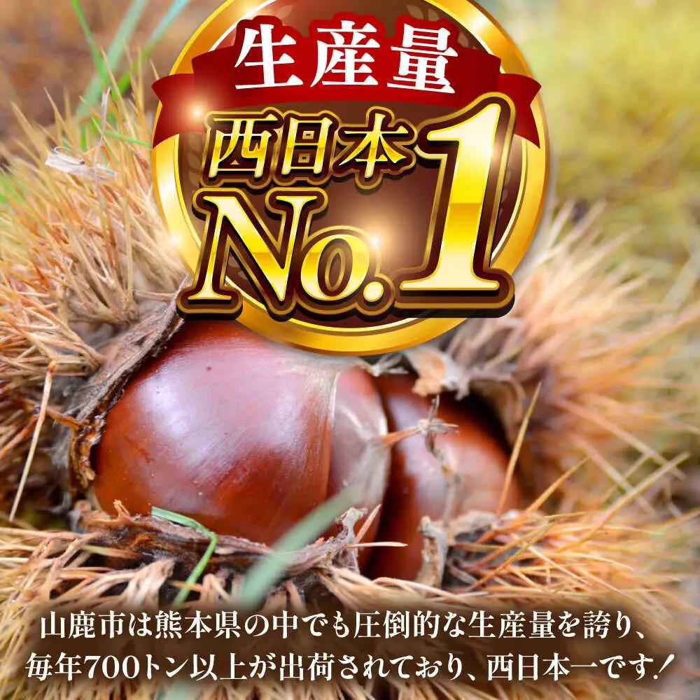 むき栗 約1kg 【株式会社あんず】[ZBT014]