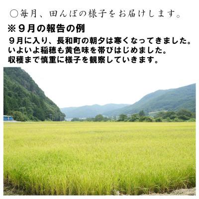 ふるさと納税 長和町 【毎月定期便】精米まるごと田んぼ1区画分!コシヒカリ360kg保障　30kg/月全12回 |  | 02