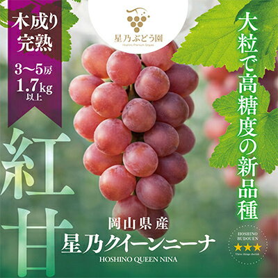 【ふるさと納税】先行予約【三つ星ブランド】星乃クイーンニーナ 数量限定 3房～5房(1.7kg以上)_ ぶどう 葡萄 ブドウ 果物 フルーツ くだもの 岡山県 津山市 人気 おすすめ 送料無料 贈答 ギフト 【配送不可地域：離島・北海道・沖縄県】【1601634】