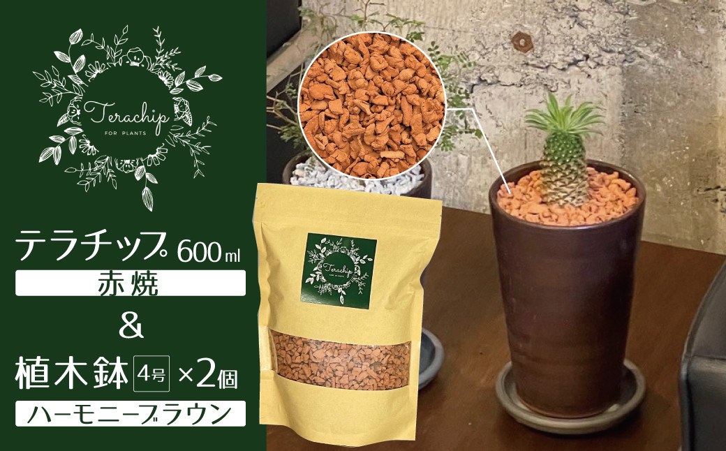 
三河焼植木鉢ハーモニーブラウン【テラチップ赤焼】プランター お手軽植物栽培セット H188-004
