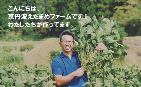 新丹波黒 枝豆 千年枝豆 1.5g さや 京都 丹波 京丹波町産 期間限定 生産者限定 国産 こだわり 厳選 黒豆 枝豆 おつまみ きな粉 黒豆きなこ付き [011HY001L]