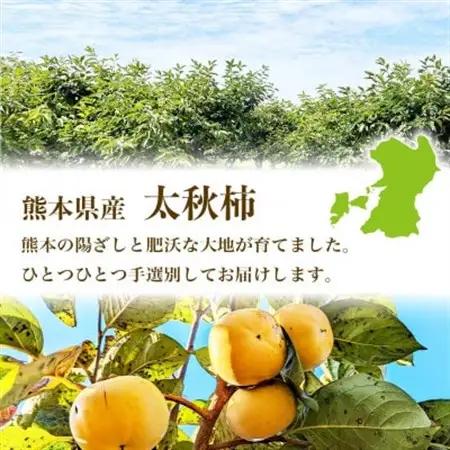 【先行予約】 熊本県産 高級柿 新触感 甘い 柿 太秋柿 約3kg(8～15玉)(益城町)【配送不可地域：離島】【1687212】