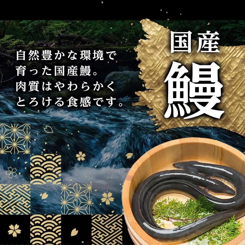 職人手焼きの本格うなぎ蒲焼き6尾_38-33-003-6_(都城市) うなぎ蒲焼き 6尾 タレ 鰻 かば焼き