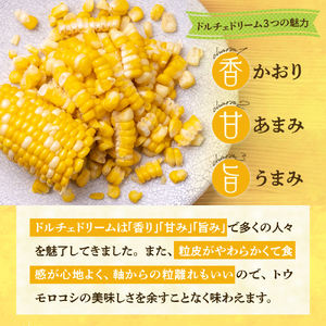 【2024年分先行予約】北海道十勝芽室町　スイートコーン ドルチェドリーム 13本 me062-001-24c