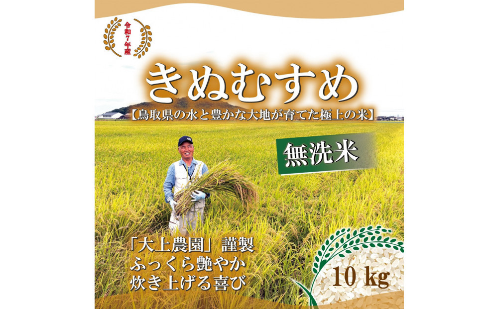 ＜令和7年産＞大上農園のきぬむすめ(無洗米・10kg) 【鳥取県 境港市】