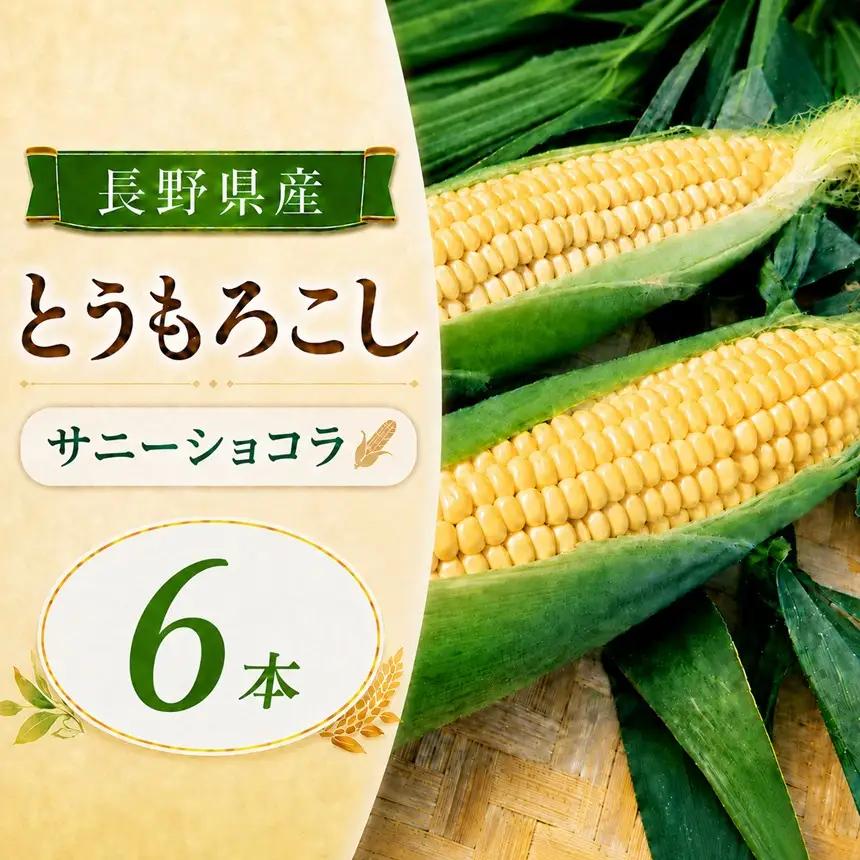 とうもろこし サニーショコラ 6本 | 寺畑農園