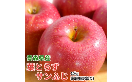 ＜26年1月～2月出荷予定＞平均糖度13度以上! 葉とらずサンふじ 約10kg 訳あり【1667883】