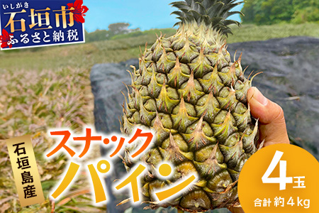 【先行予約】《2026年5月上旬頃より順次発送》石垣島産 スナックパイン (4玉 約4kg) 【 産地直送 沖縄 石垣 パイナップル フルーツ 】TP-8-1