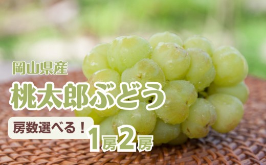 
                  房数選べる！桃太郎ぶどう【先行予約 2026年8月下旬から順次発送】
                