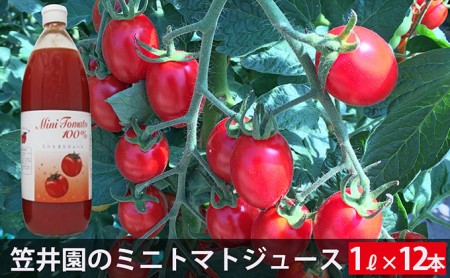 トマトジュース アイコ 北海道産 トマトジュース【1L×12本】