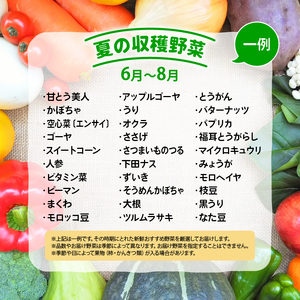 【定期便】道の駅 竜王 かがみの里 旬の野菜セット 全12回