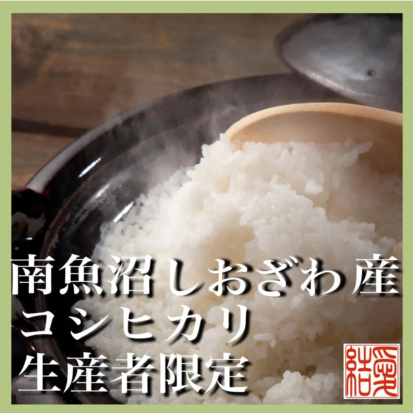 【令和7年】【定期便／15kg×12ヶ月】生産者限定 契約栽培 南魚沼しおざわ産コシヒカリ｜こしひかり