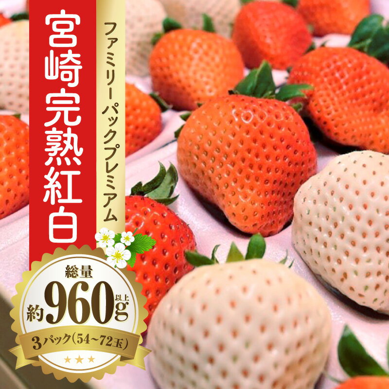 【ふるさと納税】《2026年発送》【数量・期間限定】宮崎完熟紅白ファミリーパックプレミアム 紅白いちご いちご ストロベリー 完熟いちご おおきみ 天使の苺 フルーツ デザート スイーツ 果物 化粧箱 化粧箱入り 箱入り 箱 贈り物 お祝い グルメ お取り寄せ おすすめ 宮崎市