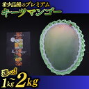 【ふるさと納税】【選べる内容量】【2025年8月より順次発送】【先行予約】稀少プレミアム！！豊見城市産キーツマンゴー！(BV001)