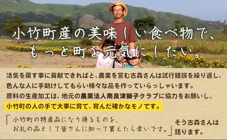 【6か月定期便】 令和6年産 小さな竹美人 玄米 2kg 玄米 株式会社コモリファーム《お申込み月の翌月から出荷開始》---sc_kmjasrgtei_24_49500_mo6num1---