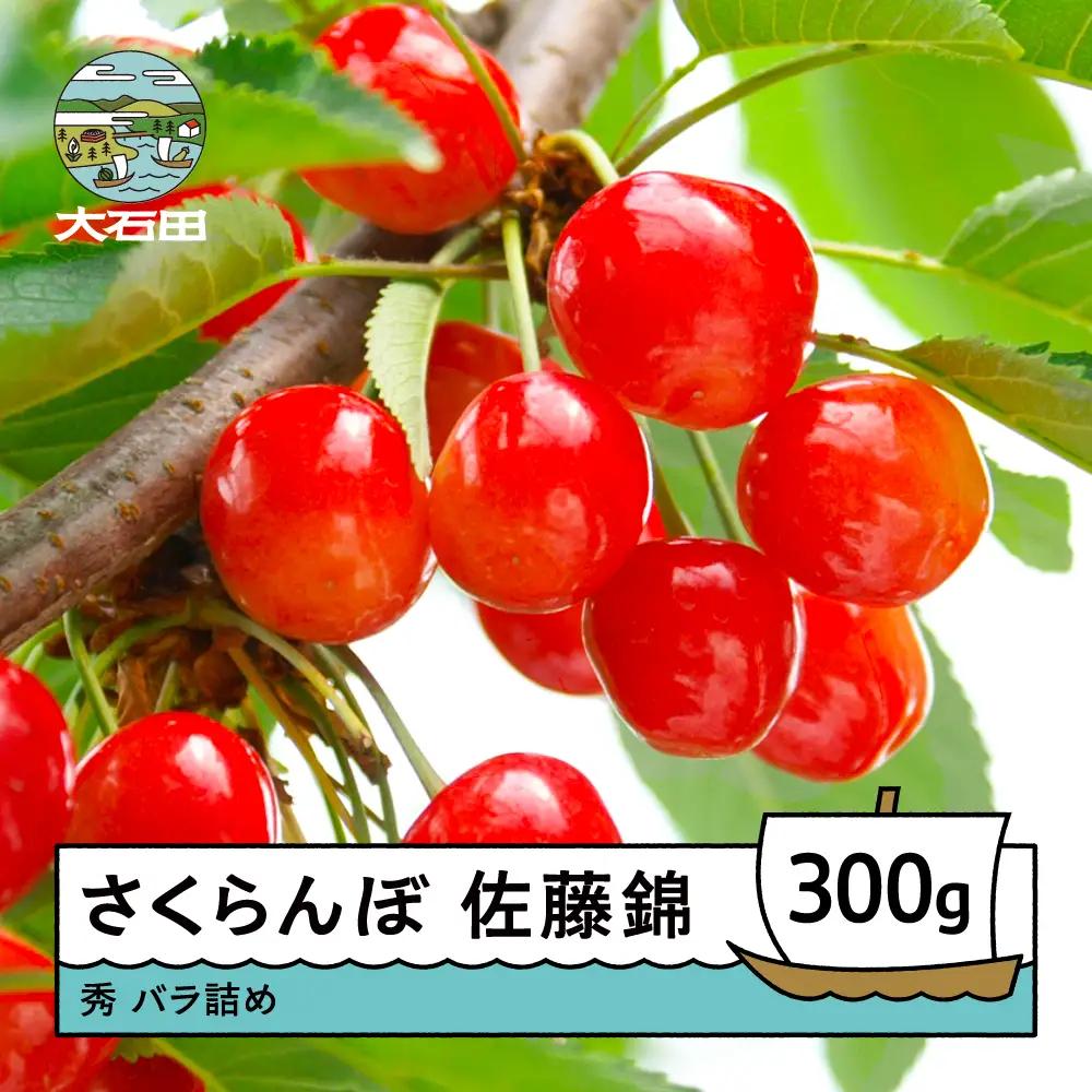 【先行予約】 令和9年産 さくらんぼ 佐藤錦 秀 約300g ry-snslb300