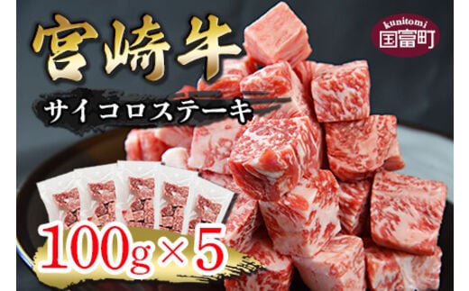 
										
										＜宮崎牛 サイコロステーキ 合計500g（100g×5)＞翌月末迄に順次出荷【0334_ty】
									