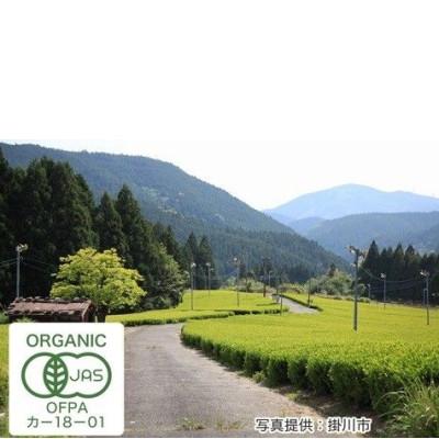 ふるさと納税 掛川市 有機JAS認定・オーガニック掛川茶「きよらか」70g×5袋 |  | 03