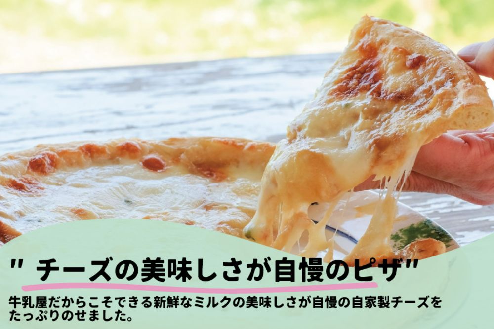【3カ月定期便】飛騨の牛乳屋　牧成舎　お任せチーズたっぷりピザセット　ピッツァ 種類お任せ マルゲリータ 洋風トマト 和風山椒 お任せ 定期便 モッツアレラチーズ 乳製品 TR4344