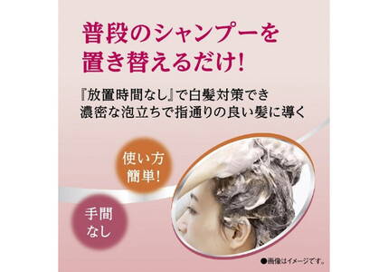 ダリヤ　サロン　ド　プロ　カラーシャンプー ＜アッシュブラウン＞3個セット