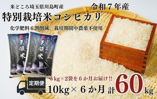 
            定期便６か月【令和7年度産　特別栽培米】埼玉県かわじま町　天領米（コシヒカリ） 5kg×２袋　計６０kg
          
