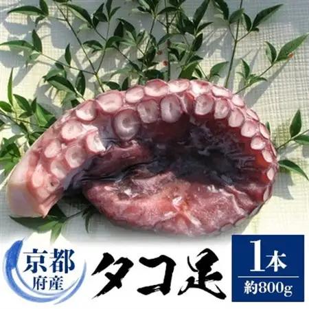 京都府産　タコ足　1本(冷凍:鮮度抜群真空パック)【共通返礼品】_魚介・海産物 タコ  たこ 蛸_【配送不可地域：離島】【1045456】