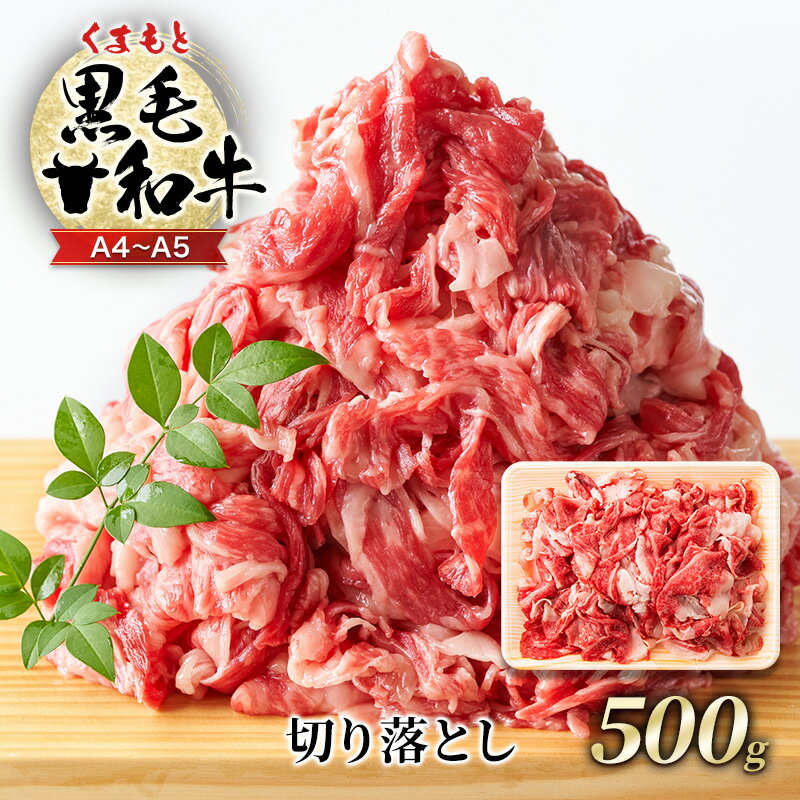 【ふるさと納税】牛肉 A4～A5 くまもと 黒毛和牛 切り落とし 500g 肉 お肉 ※配送不可：離島