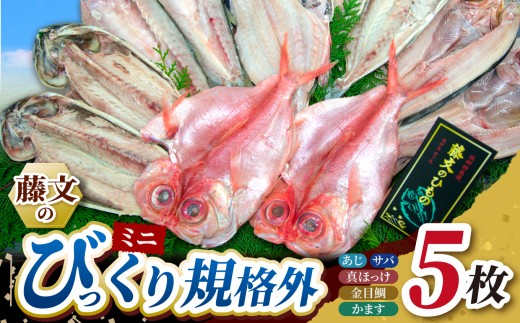 藤文の「びっくり規格外ミニ」あじ 鯵 真ほっけ 金目鯛 きんめ 鯖 さば 干物 ひもの 規格外 冷凍 西伊豆 伊豆 ギフト お歳暮 お中元