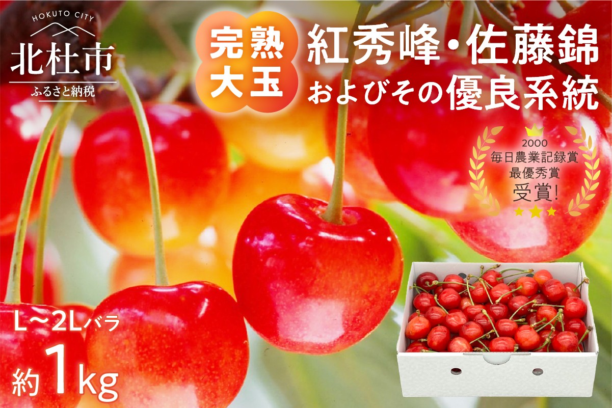 
                  【2026年発送】完熟大玉・さくらんぼ（L～2Lバラ約1kg）　佐藤錦 紅秀峰 サクランボ チェリー 果物 産地直送 冷蔵 フルーツ 岩原果樹園
                