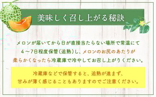 ＜先行受付＞北海道産 北斗メロン「赤肉メロン」〈Lサイズ〉2玉（優品以上／2玉で約3kg）【2025年6月下旬-7月下旬 順次発送予定】フルーツ メロン 果物 赤肉_イメージ4