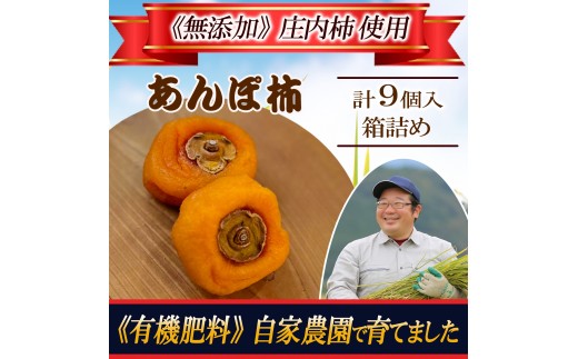 令和7年産【有機肥料/自家栽培】　干し柿（庄内あんぽ柿）　9個入(3個×3袋)化粧箱入 SA2823