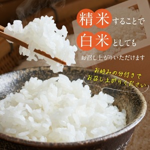 【令和7年産 新米】福岡県産ブランド米元気つくし 玄米 10kg_元気つくし 玄米 内容量 10kg 福岡県産 ブランド米 鮮度抜群 新鮮 福岡生まれ 品種 香り豊か ふっくら 食感 ご飯 おにぎり 