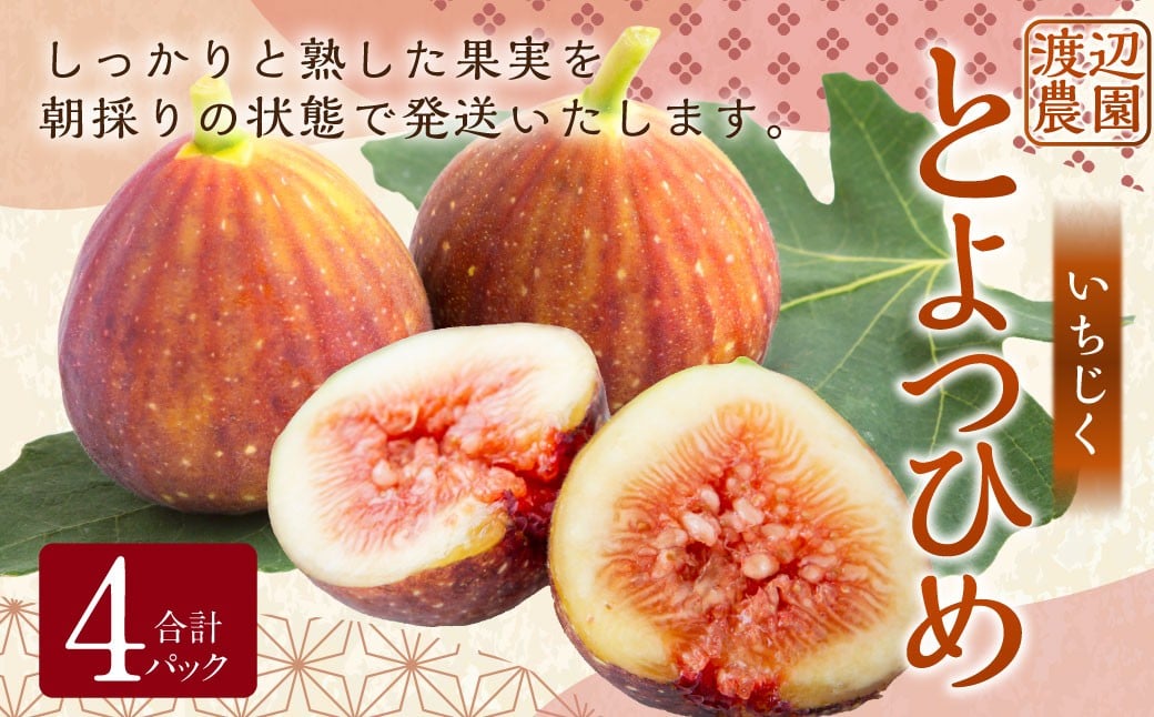 【先行予約】渡辺農園 いちじく (とよみつひめ) 4パック 【2026年8月上旬〜2026年9月中旬 出荷予定】 フルーツ 果物 果実 常温 送料無料 福岡県 うきは市
