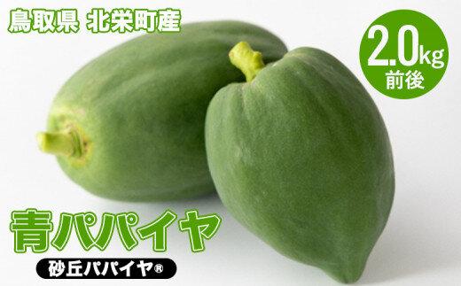 781.青パパイヤ（砂丘パパイヤ）2.0kg前後※2025年9月中旬～11月下旬頃に順次発送予定※離島への配送不可 313726_BA002-P