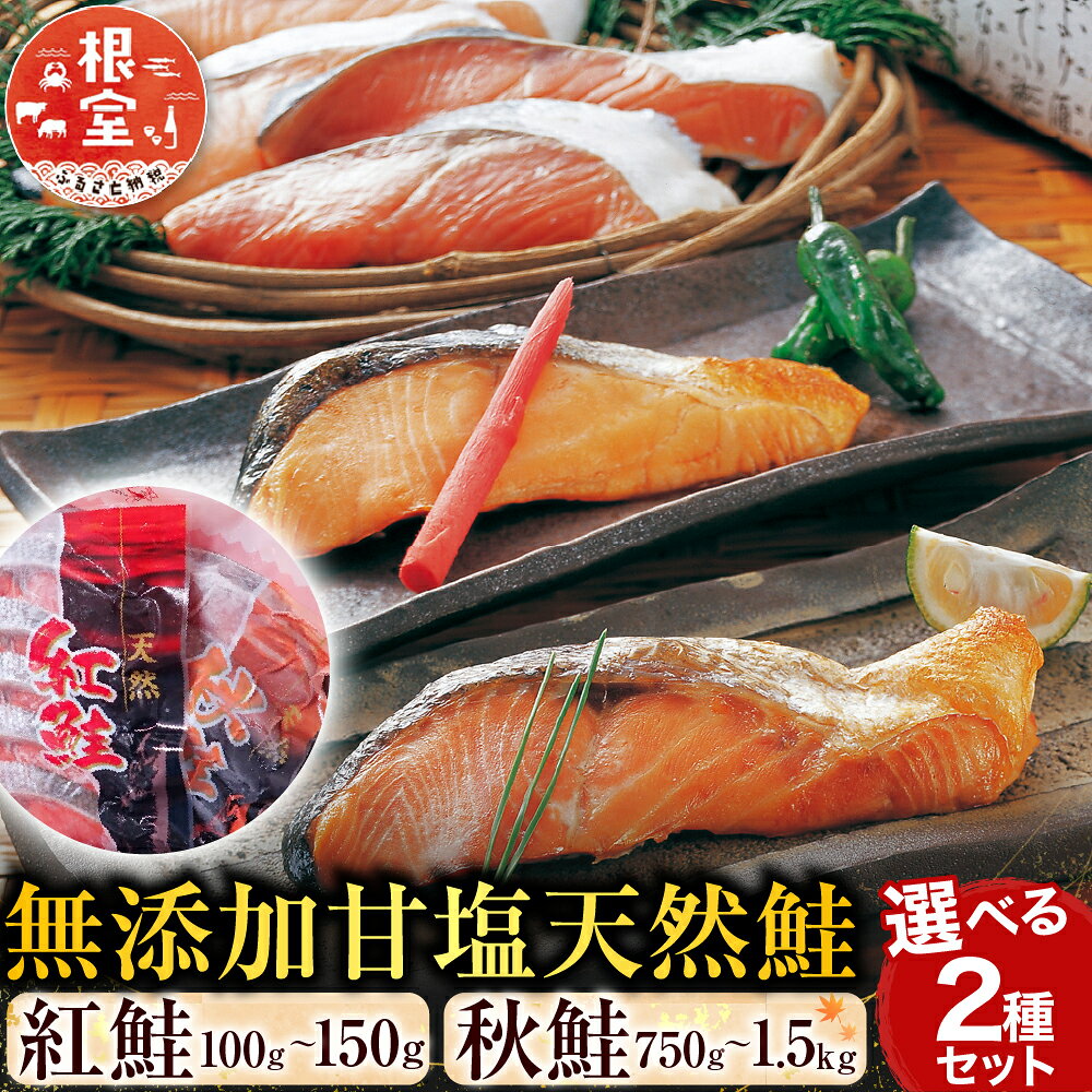 【ふるさと納税】 無添加甘塩天然鮭 2 種セット 紅鮭 沖獲れ鮭 春鮭 秋鮭 鮭 さけ サケ しゃけ シャケ 魚 さかな サカナ 北海道