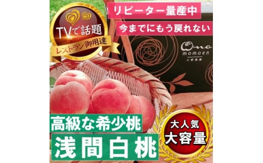 ＜市場にほぼ出回らない浅間白桃＞人気品種指定ギフト4年連続TV出演話題ブランド2025年7月中旬発【1465263】