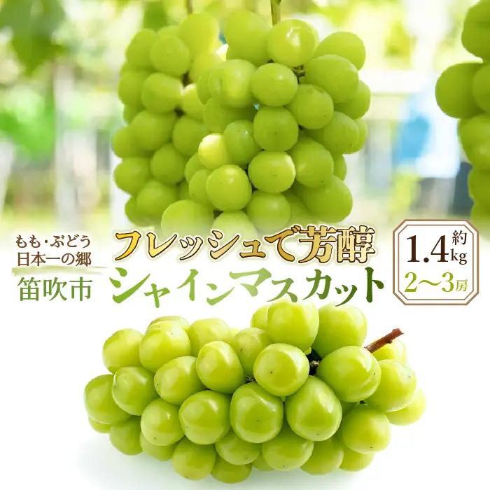 【2026年発送★先行予約】フレッシュで芳醇シャインマスカット2‐3房　約1.4ｋｇ  016-001-26y 常温便