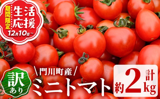 ＜先行予約受付中！2026年2～3月の間に発送予定＞訳あり 規格外 数量限定 門川町産 ミニトマト(計2kg)  期間限定 生活応援 とまと 野菜 ミックス 生 旬野菜 冷蔵 【X-9】【いけとも農園】
