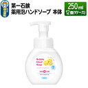 【ふるさと納税】第一石鹸 薬用泡ハンドソープ 本体 250ml×12個（1ケース）